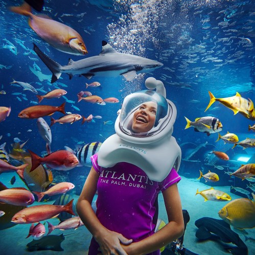 A person in a diving helmet smiles underwater, surrounded by colorful fish and a shark in an aquarium setting.