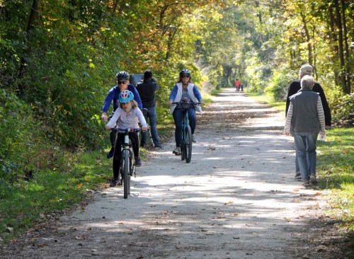 A family rides bikes on a tree-lined path while others walk nearby on a sunny day.