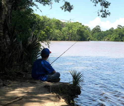 A child sits by the water, fishing peacefully amidst lush greenery and a clear blue sky.