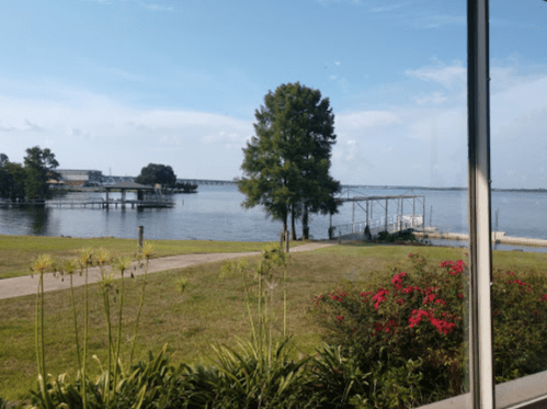 A serene view of a river with a dock, surrounded by green grass and colorful flowers under a clear blue sky.