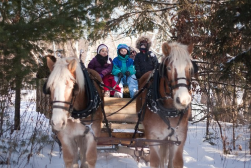 A group of children bundled in winter clothing enjoy a horse-drawn sleigh ride through a snowy landscape.
