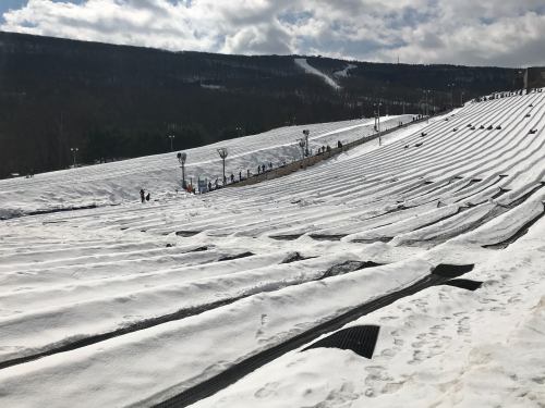 A snowy slope with ski tracks, surrounded by trees and a mountain under a partly cloudy sky.