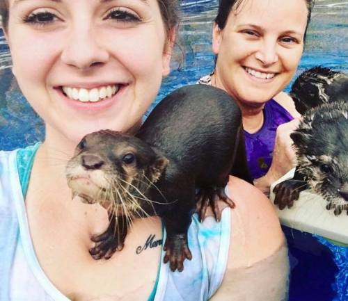 Two women smiling in a pool, one holding an otter on her shoulder, with another otter nearby.