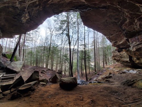 A cave opening reveals a forested landscape with trees and rocky terrain in the foreground.