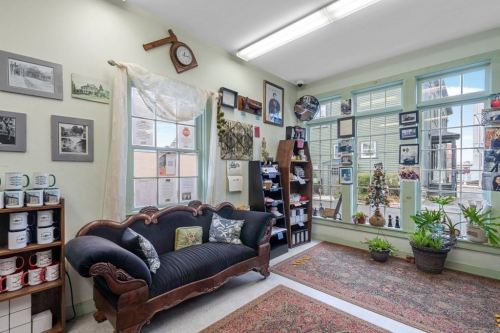 Cozy room with a vintage couch, plants, and framed photos on the walls, featuring shelves with various items.
