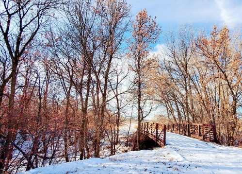 A snowy landscape featuring a wooden bridge surrounded by bare trees and a clear blue sky.