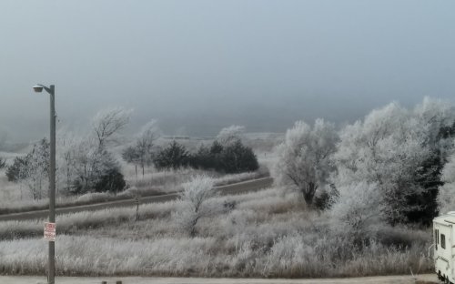 A foggy landscape with frosted trees and a winding path, creating a serene winter scene.