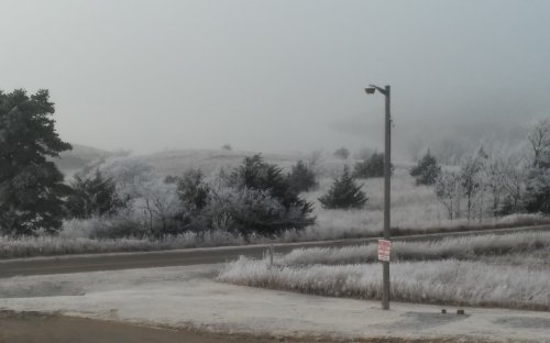 A foggy landscape with frosted trees and grass, featuring a road and a streetlight in the foreground.