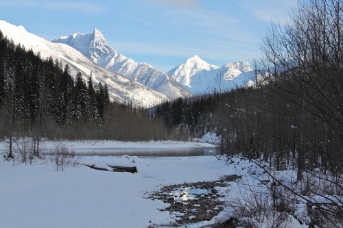 Snow-covered mountains rise above a serene lake, surrounded by trees and a clear blue sky.