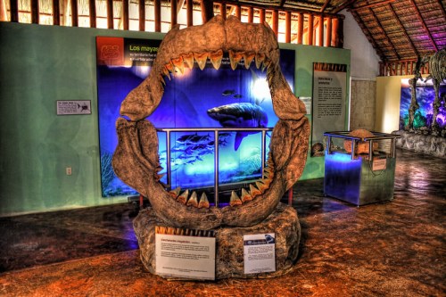 A large, realistic shark jaw display in an aquarium, surrounded by informational panels and colorful aquatic scenes.