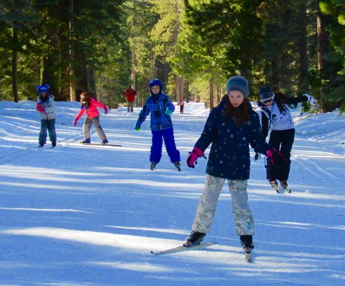 A group of children skiing on a snowy trail surrounded by tall trees, enjoying a winter day outdoors.