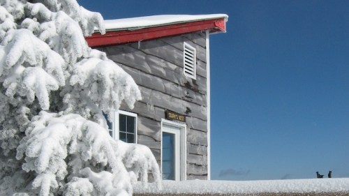 A snowy scene featuring a rustic wooden building with a red roof and a snow-covered tree in the foreground.