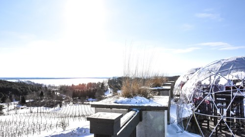A snowy landscape with a clear blue sky, featuring a glass dome and vineyards in the distance.