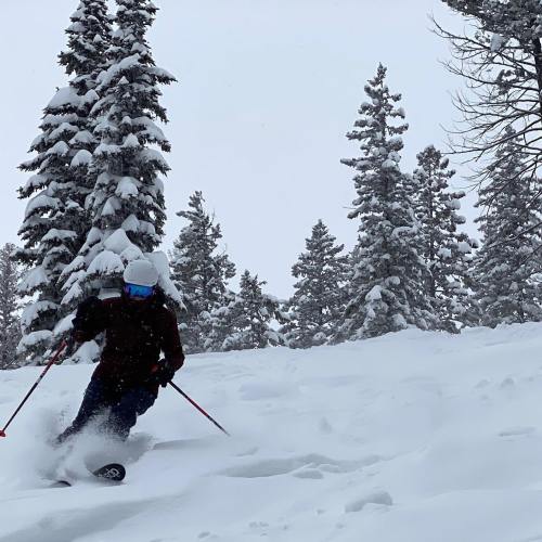 A skier navigates through deep snow among tall, snow-covered trees on a cloudy day.