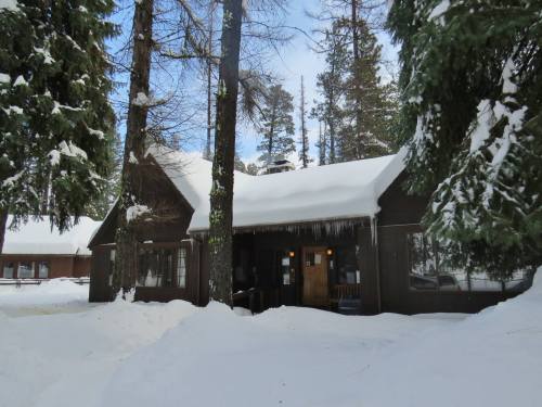 A cozy cabin surrounded by snow-covered trees, with a snow-laden roof and icicles hanging from the eaves.