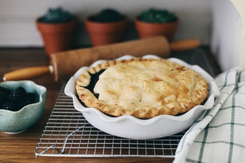 A freshly baked pie in a white dish on a cooling rack, with a rolling pin and potted plants in the background.