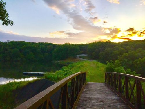 A wooden bridge leads to a serene lake surrounded by lush greenery under a colorful sunset sky.