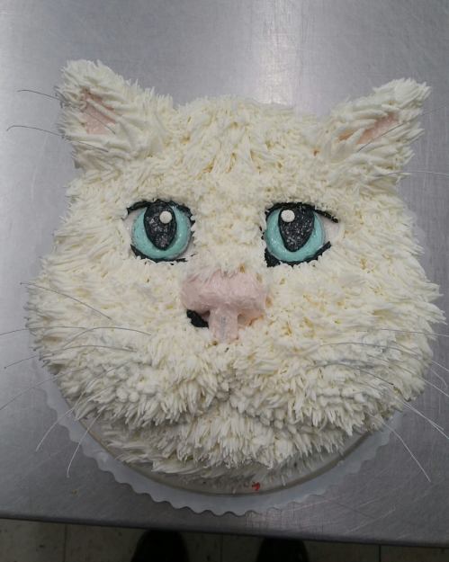 A cake shaped like a cat's face, featuring fluffy white frosting, blue eyes, and pink nose details.