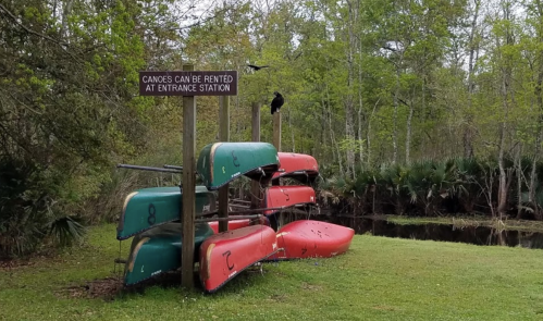 Colorful canoes stacked near a sign that reads "Canoes can be rented at entrance station," surrounded by greenery.