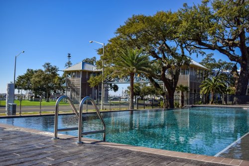A serene pool surrounded by palm trees and large oak trees, with a modern building in the background under a clear blue sky.