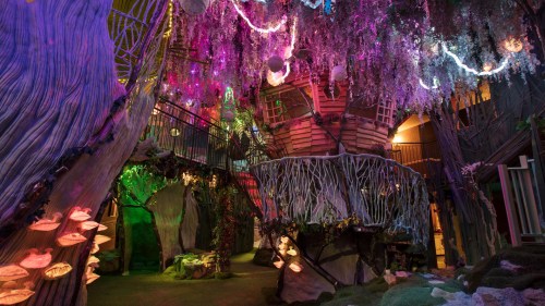 A whimsical indoor space with colorful lights, tree-like structures, and a play area resembling a magical forest.