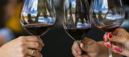 Three hands holding wine glasses filled with red wine, reflecting a scenic outdoor view.