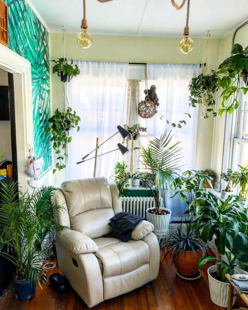 Cozy living space with a beige recliner surrounded by various indoor plants and natural light from large windows.