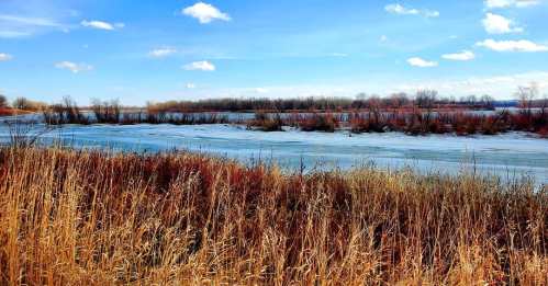 A serene river scene with icy water, surrounded by tall grasses and trees under a bright blue sky with fluffy clouds.