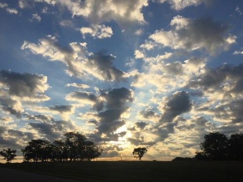 A vibrant sky filled with clouds at sunset, with silhouettes of trees along the horizon.