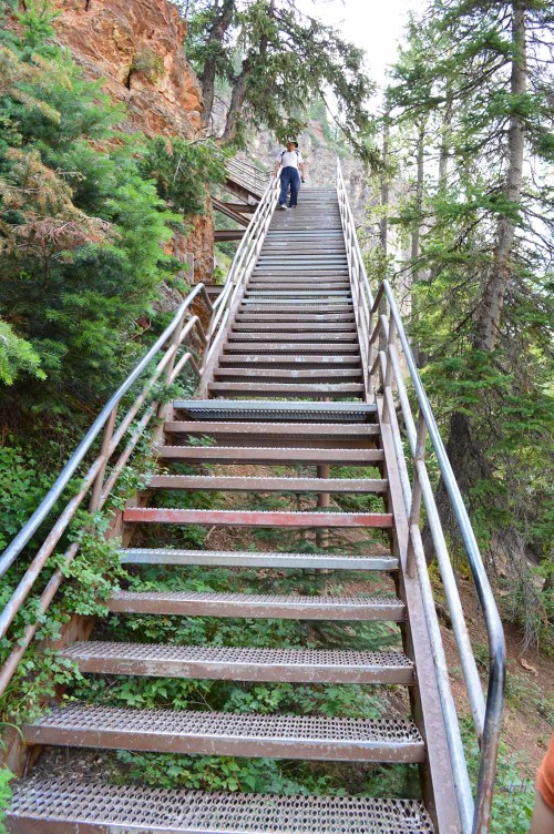 A person climbs a metal staircase surrounded by trees and greenery in a natural setting.