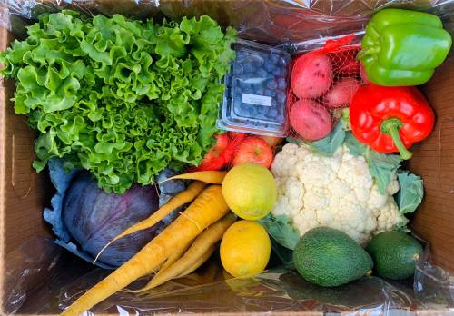 A cardboard box filled with fresh vegetables and fruits, including lettuce, cauliflower, peppers, potatoes, and blueberries.