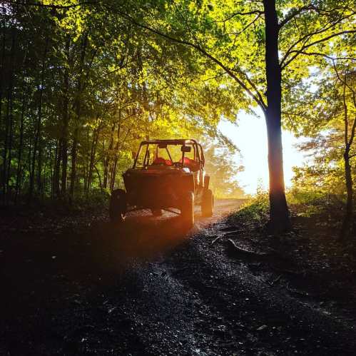 A silhouette of an off-road vehicle on a forest path, illuminated by golden sunlight filtering through the trees.