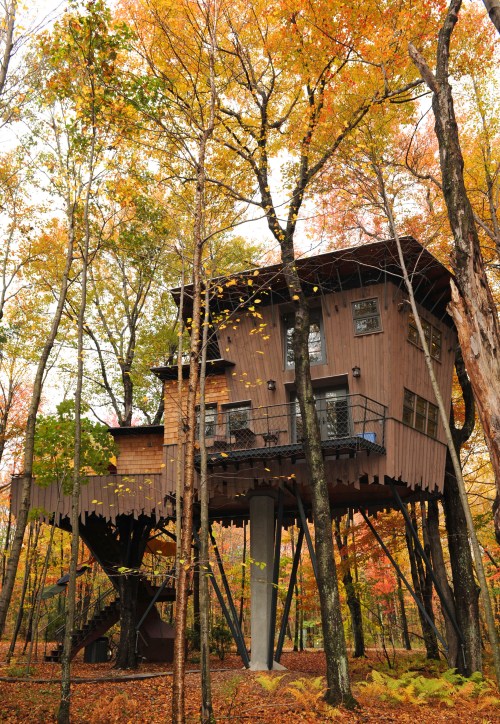 A unique treehouse elevated among colorful autumn trees, featuring wooden walls and a balcony.