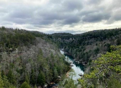 A scenic view of a winding river surrounded by dense forests and rolling hills under a cloudy sky.