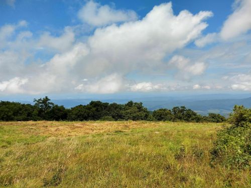 A scenic view of rolling hills and a blue sky with fluffy clouds, featuring a grassy field and distant mountains.