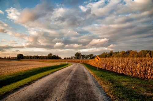 A winding rural road bordered by cornfields under a cloudy sky, with a curve sign indicating a turn ahead.