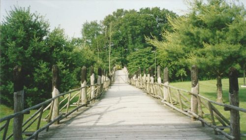 A wooden bridge leads through lush greenery, surrounded by trees on either side, creating a serene natural pathway.