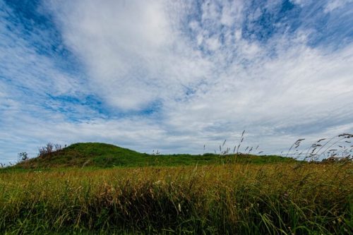 A grassy hill under a cloudy sky, with tall grass in the foreground and a blue backdrop.