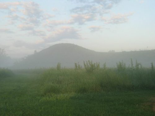 A misty landscape with tall grass in the foreground and a gentle hill shrouded in fog under a cloudy sky.