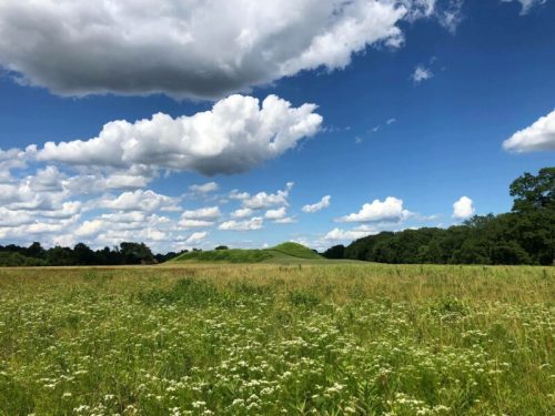 A grassy field with wildflowers under a blue sky filled with fluffy clouds, featuring a distant green hill.