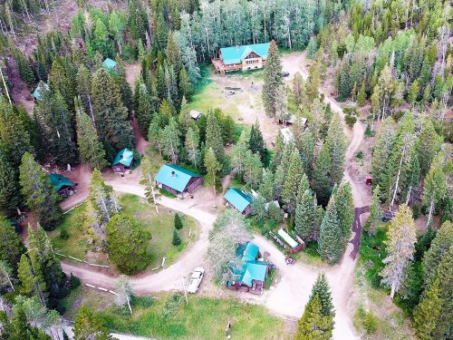 Aerial view of a forested area with cabins, a main lodge, and winding dirt paths surrounded by tall trees.