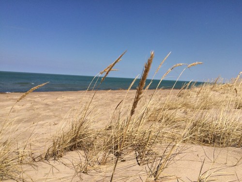 A sandy beach with tall grass swaying in the breeze, overlooking a calm blue lake under a clear sky.