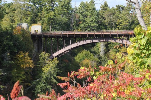 A rustic bridge arches over a lush forest, surrounded by vibrant autumn foliage.