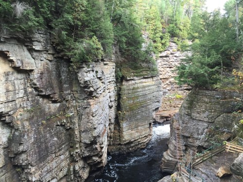 A scenic view of a rocky canyon with a river flowing through, surrounded by lush green trees.