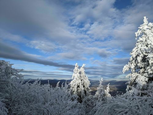 Snow-covered trees against a backdrop of blue sky and clouds, with distant mountains visible below.