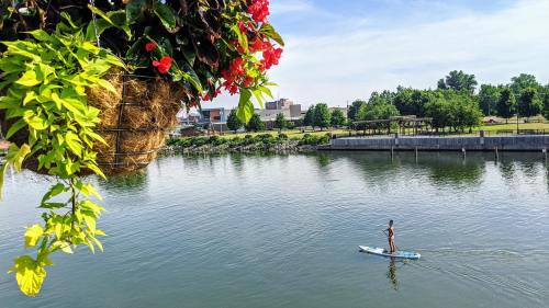 A person paddleboards on a calm river, surrounded by greenery and colorful flowers in the foreground.