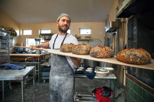 A baker holds a wooden paddle with freshly baked loaves of bread in a rustic bakery setting.