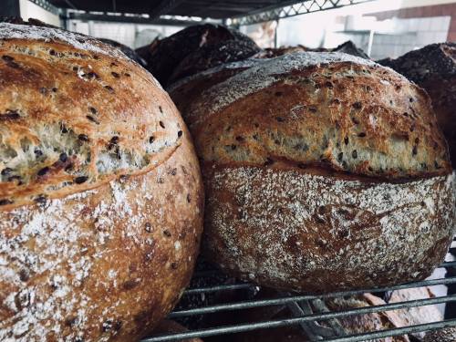 Two round loaves of bread with a crusty exterior, resting on a wire rack.