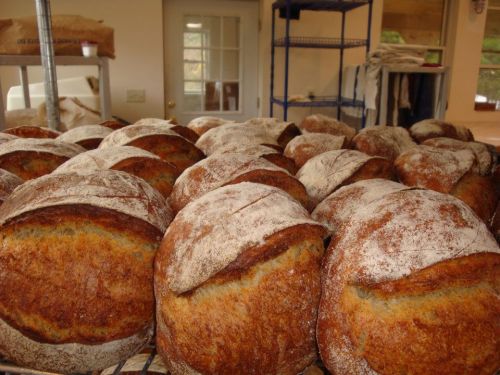 Freshly baked round loaves of bread cooling on a rack in a bakery.