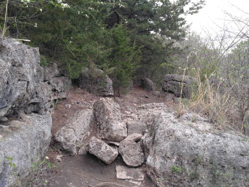 Rocky path surrounded by greenery and trees, leading through a natural landscape.